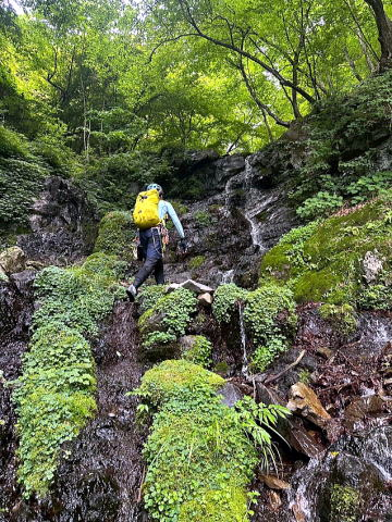 2025.6.29 倉沢谷塩地谷（沢登り）