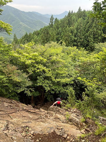2025.7.5 奥武蔵・伊豆ヶ岳（男坂）（尾根歩き）