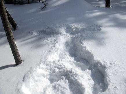 2013.2.16-17 北横岳(雪山)