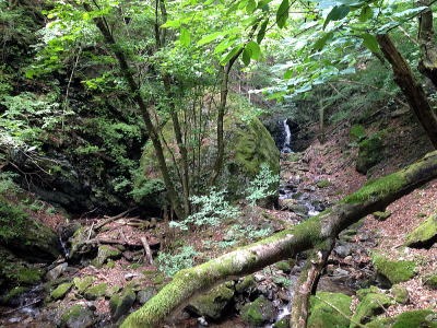 2013.7.7 川苔谷逆川(沢登り)