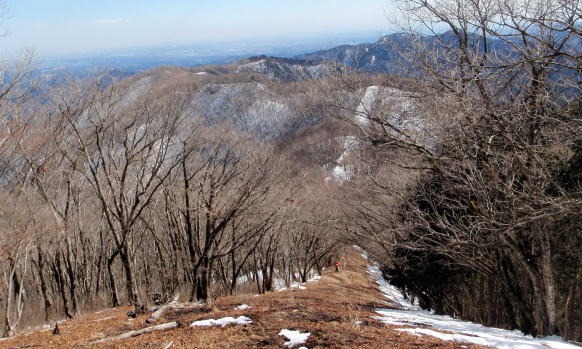 2013.2.24 蕎麦粒山(尾根歩き)