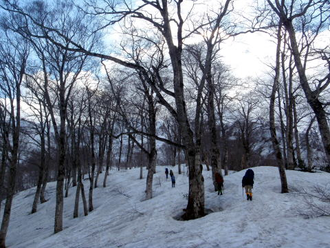 2013.5.3-6 白馬岳 小蓮華尾根(雪山)