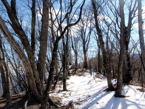 2013.2.24 蕎麦粒山(尾根歩き)