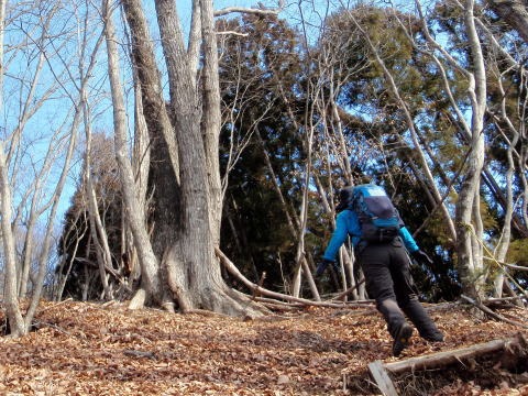 2013.2.24 蕎麦粒山(尾根歩き)