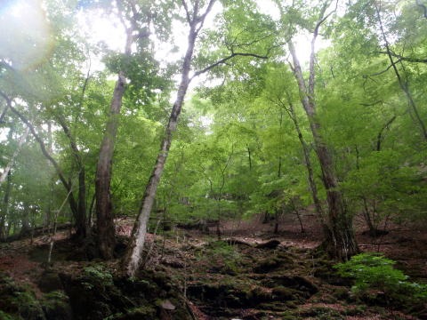 2013.7.14-15 滝川槇ノ沢(沢登り)