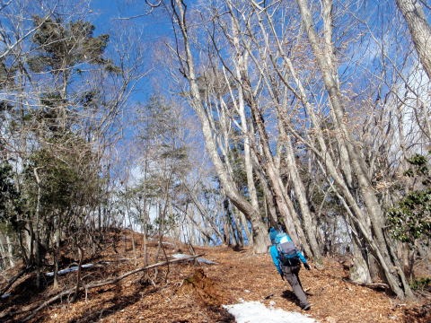 2013.2.24 蕎麦粒山(尾根歩き)