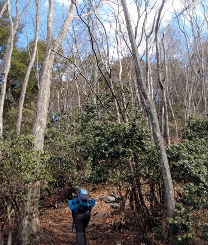 2013.2.24 蕎麦粒山(尾根歩き)