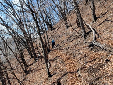 2013.2.24 蕎麦粒山(尾根歩き)