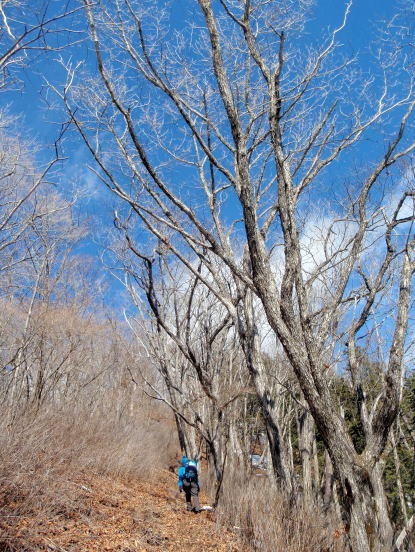 2013.2.24 蕎麦粒山(尾根歩き)