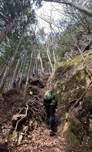 2025.4.12 奥多摩・御前山~鋸山(ハイキング)