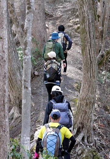 2025.4.12 奥多摩・御前山~鋸山(ハイキング)