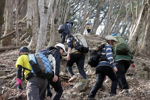 2025.4.12 奥多摩・御前山~鋸山(ハイキング)