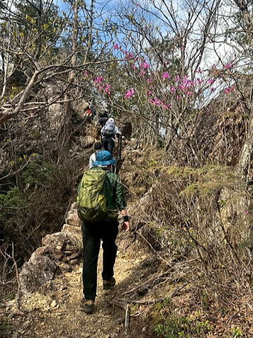 2025.4.12 奥多摩・御前山~鋸山(ハイキング)