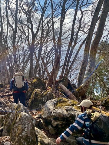 2025.4.12 奥多摩・御前山~鋸山(ハイキング)