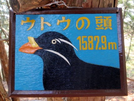 2013.3.10　ウトウの頭（尾根歩き）