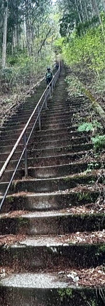 2025.4.12 奥多摩・御前山~鋸山(ハイキング)