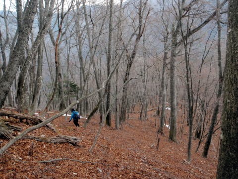 2013.3.10　ウトウの頭（尾根歩き）