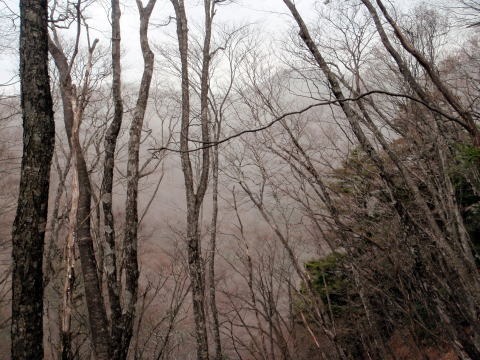 2013.3.10　ウトウの頭（尾根歩き）
