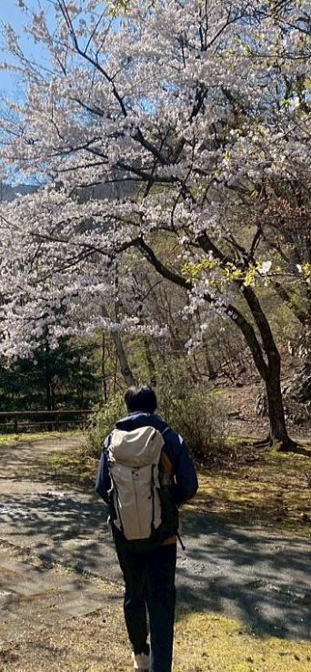 2025.4.12 奥多摩・御前山~鋸山(ハイキング)