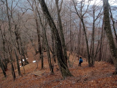 2013.3.10　ウトウの頭（尾根歩き）