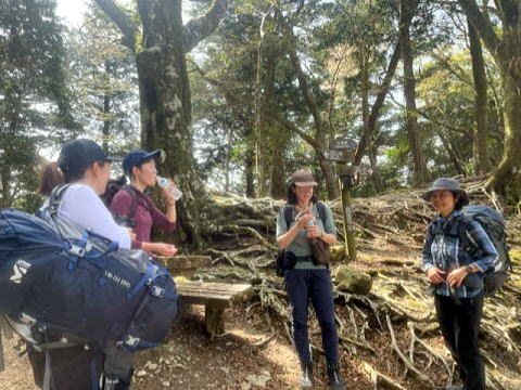 2025.04.19-20 伊豆・天城峠~猫越山~達磨山(ハイキング)