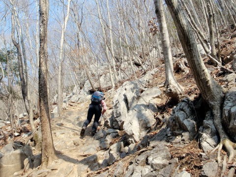 2013.3.10　ウトウの頭（尾根歩き）
