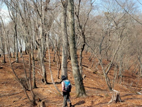 2013.3.10　ウトウの頭（尾根歩き）