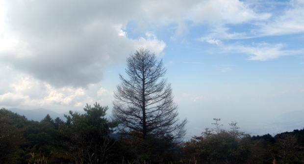 2013.9.22　ハンゼノ頭（尾根歩き）