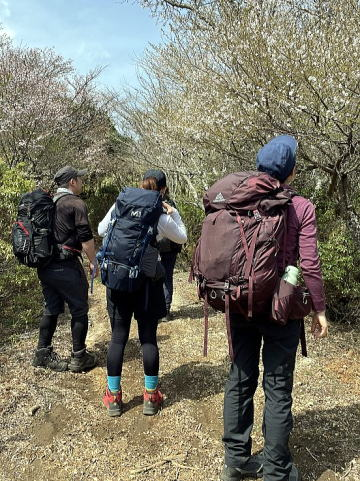 2025.04.19-20 伊豆・天城峠~猫越山~達磨山(ハイキング)