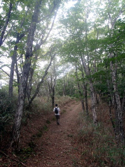 2013.9.22　ハンゼノ頭（尾根歩き）