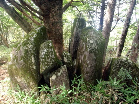 2013.9.22　ハンゼノ頭（尾根歩き）