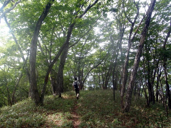 2013.9.22　ハンゼノ頭（尾根歩き）