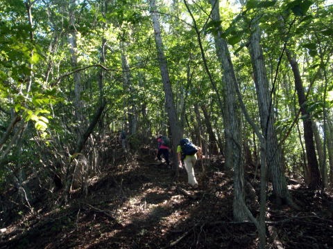 2013.9.28 大谷ヶ丸(尾根歩き)