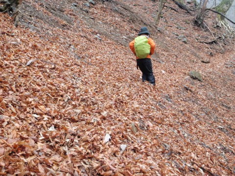 2013.3.10　ウトウの頭（尾根歩き）