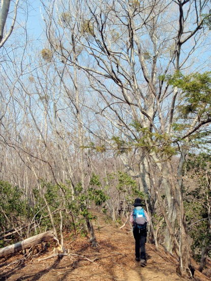 2013.3.10　ウトウの頭（尾根歩き）