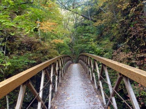 2013.11.3 サカリ山(尾根歩き)