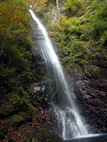 2013.11.3 サカリ山(尾根歩き)