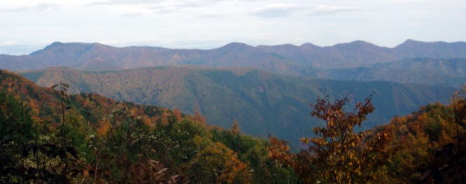 2013.11.3 サカリ山(尾根歩き)