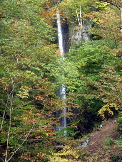 2013.11.3 サカリ山(尾根歩き)