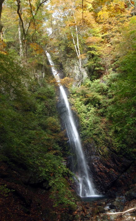 2013.11.3 サカリ山(尾根歩き)