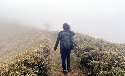 2025.04.19-20 伊豆・天城峠~猫越山~達磨山(ハイキング)