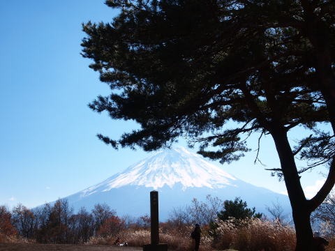 2013.11.17　足和田山（尾根歩き）
