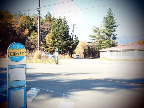 2013.11.17　足和田山（尾根歩き）