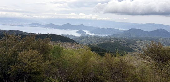 2025.04.19-20 伊豆・天城峠~猫越山~達磨山(ハイキング)