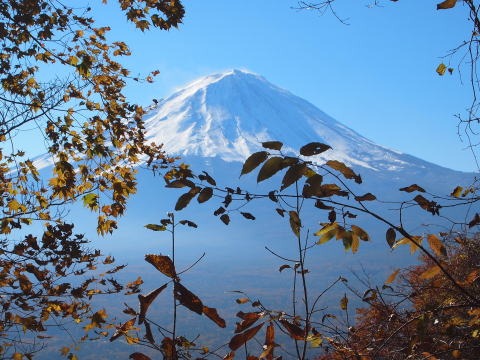 2013.11.17　足和田山（尾根歩き）