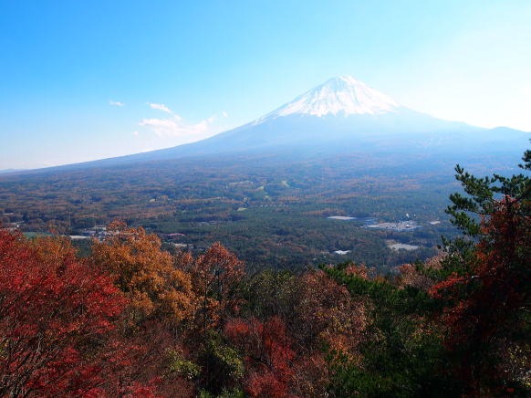 2013.11.17　足和田山（尾根歩き）