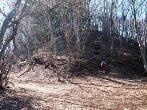 2013.11.17　足和田山（尾根歩き）