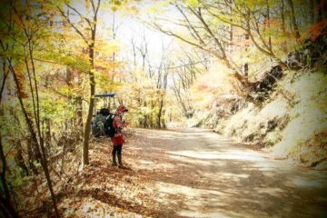 2013.11.17　足和田山（尾根歩き）