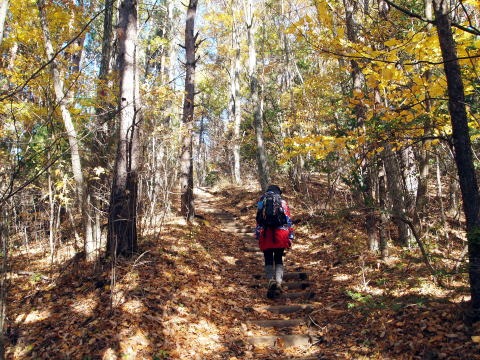 2013.11.17　足和田山（尾根歩き）