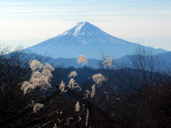 2013.11.24　サカリ山（尾根歩き）